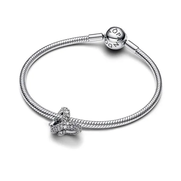 Pandora Charms Image 3 The Source Fine Jewelers Greece, NY