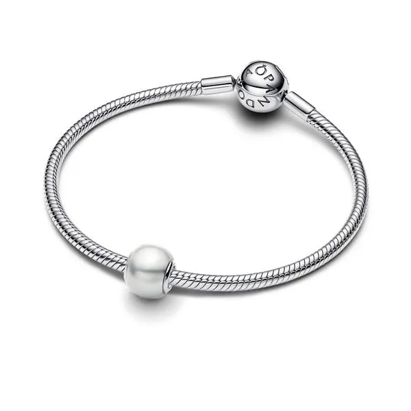 Pandora Charms Image 3 The Source Fine Jewelers Greece, NY
