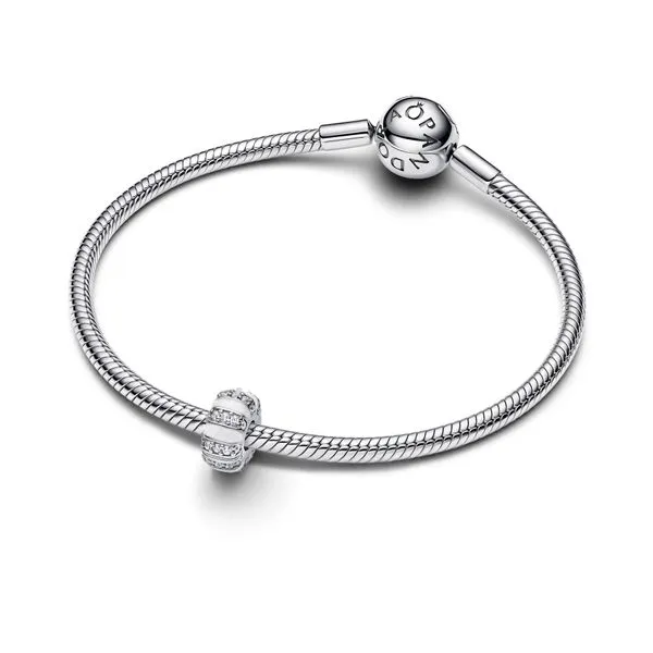 Pandora Charms