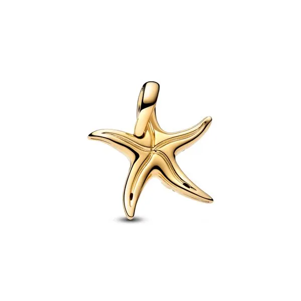Pandora Charms Image 2 The Source Fine Jewelers Greece, NY