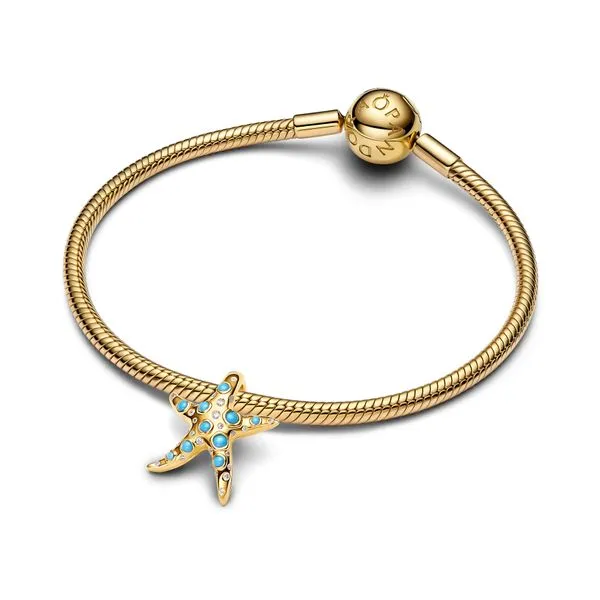 Pandora Charms Image 3 The Source Fine Jewelers Greece, NY