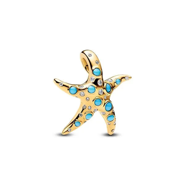 Pandora Charms The Source Fine Jewelers Greece, NY
