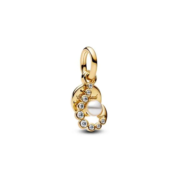 Pandora Charms The Source Fine Jewelers Greece, NY