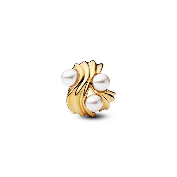 Pandora Charms Image 2 The Source Fine Jewelers Greece, NY