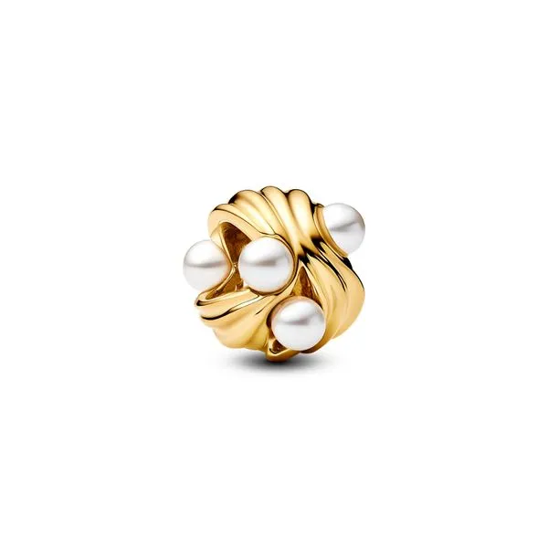Pandora Charms The Source Fine Jewelers Greece, NY
