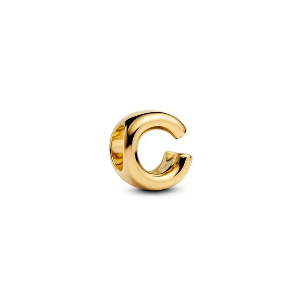 Pandora Charms The Source Fine Jewelers Greece, NY