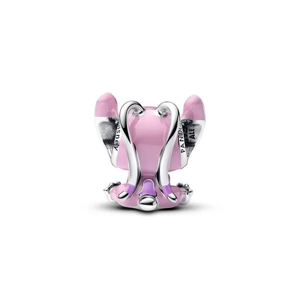 Pandora Charms Image 2 The Source Fine Jewelers Greece, NY