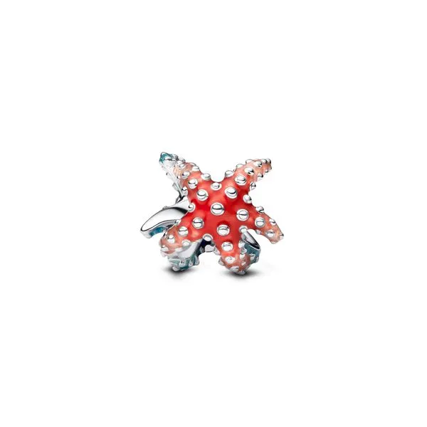 Pandora Charms