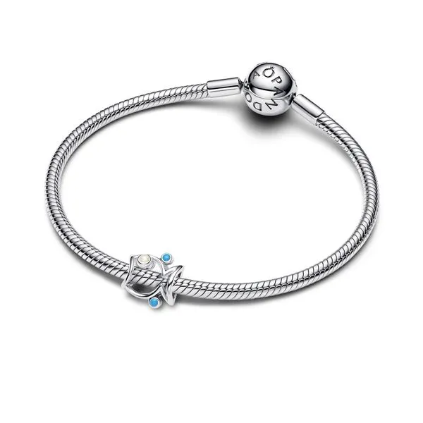 Pandora Charms