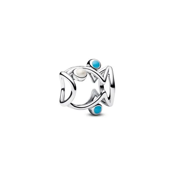 Pandora Charms