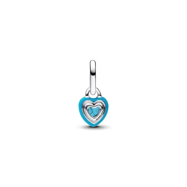 Pandora Charms