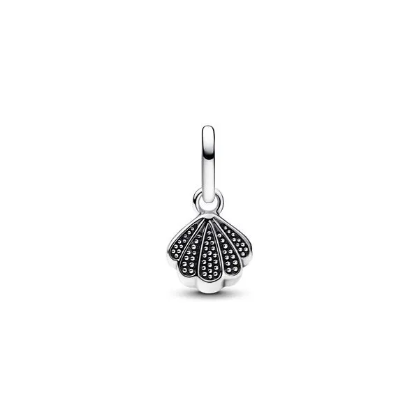 Pandora Charms