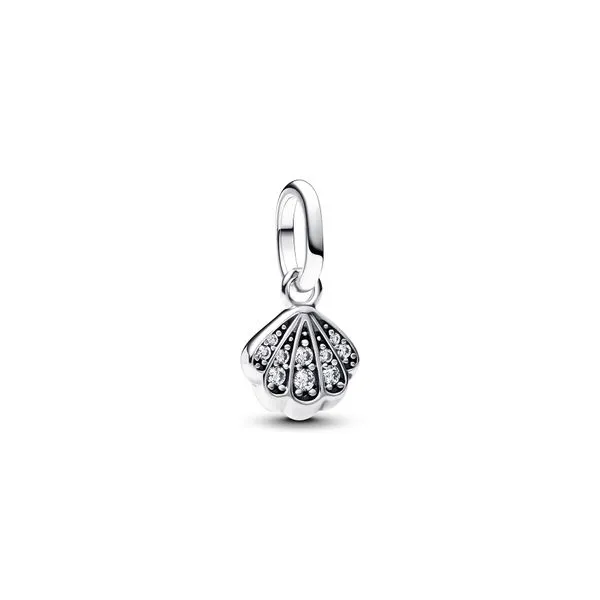 Pandora Charms