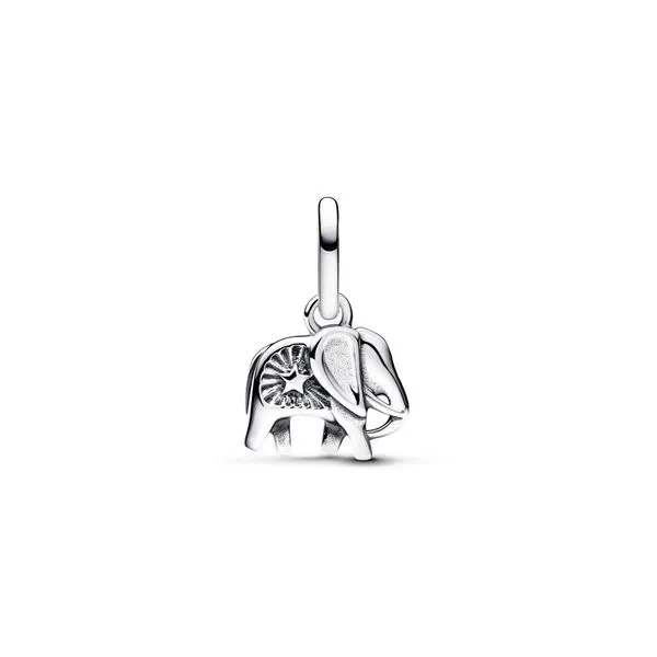Pandora Charms