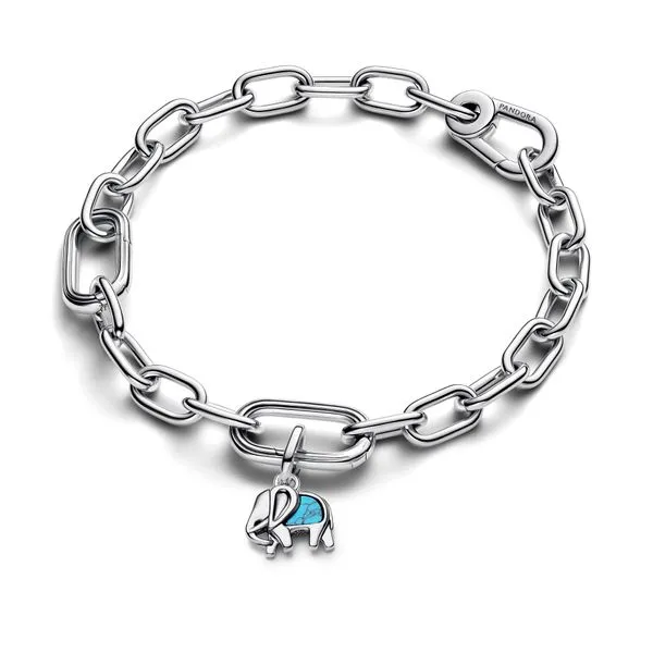 Pandora Charms