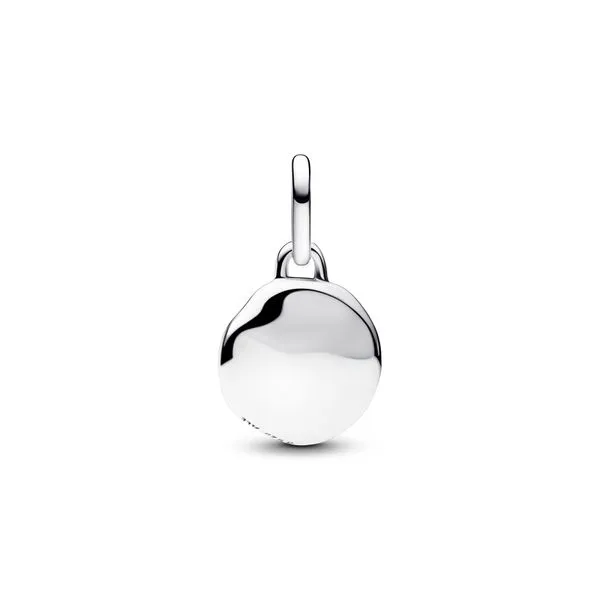 Pandora Charms