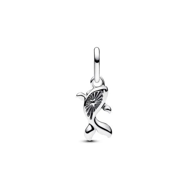 Pandora Charms