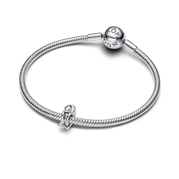 Pandora Charms