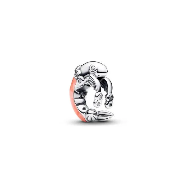Pandora Charms