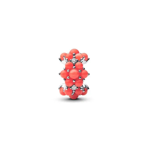Pandora Charms
