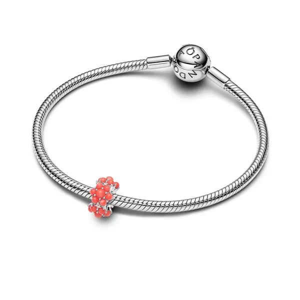 Pandora Charms