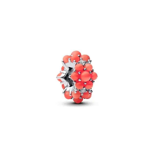 Pandora Charms