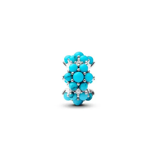 Pandora Charms