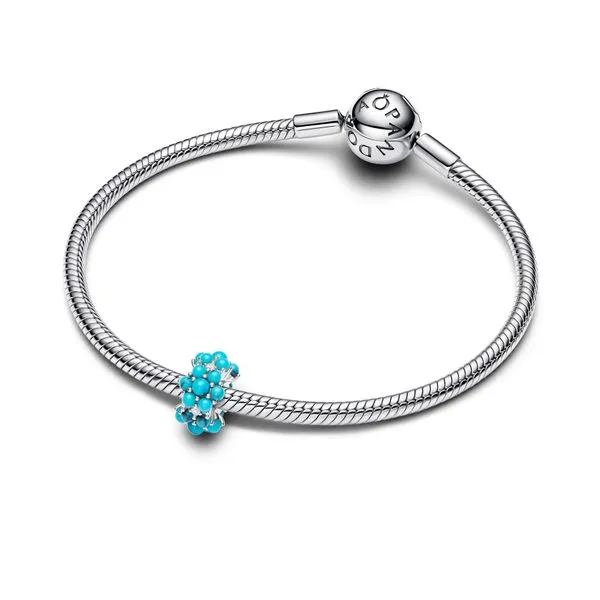 Pandora Charms