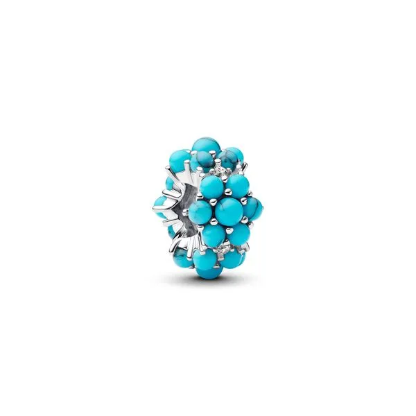 Pandora Charms