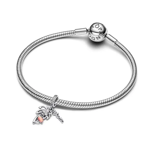 Pandora Charms