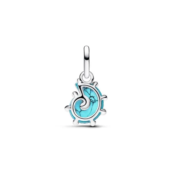 Pandora Charms