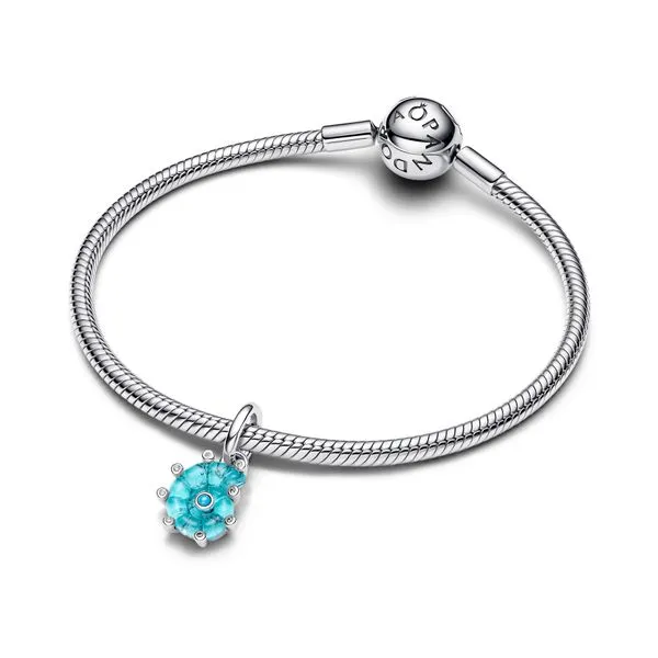 Pandora Charms