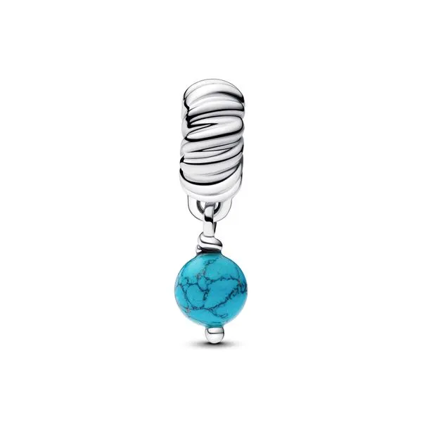 Pandora Charms