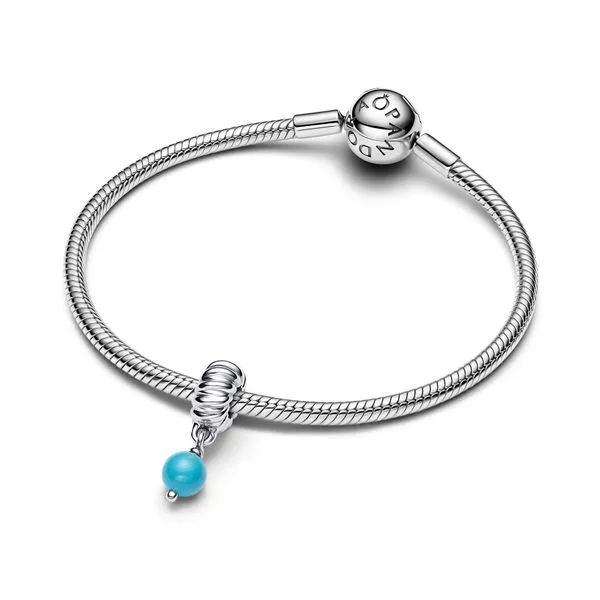 Pandora Charms
