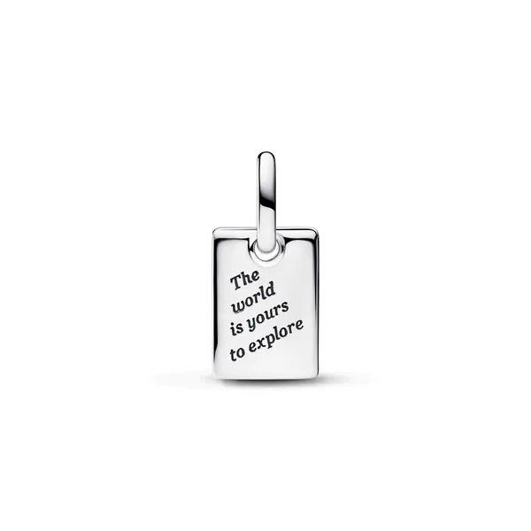 Pandora Charms