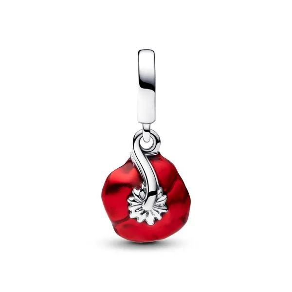 Pandora Charms