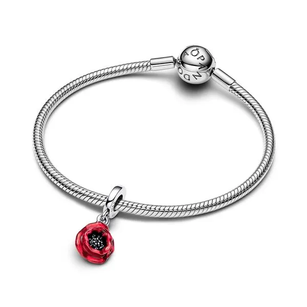 Pandora Charms