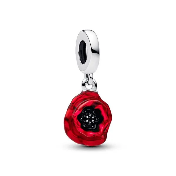 Pandora Charms