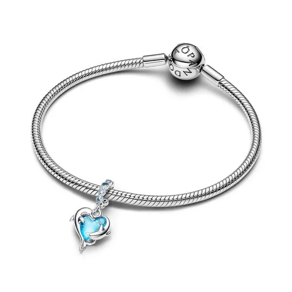 Pandora Charms