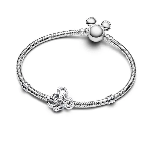 Pandora Charms Image 3 The Source Fine Jewelers Greece, NY