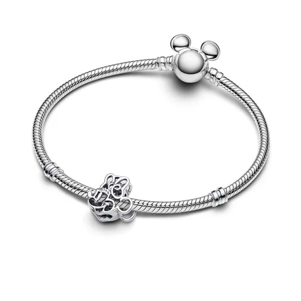 Pandora Charms Image 3 The Source Fine Jewelers Greece, NY