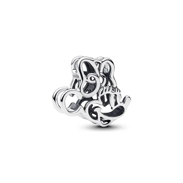Pandora Charms The Source Fine Jewelers Greece, NY