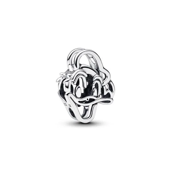 Pandora Charms The Source Fine Jewelers Greece, NY