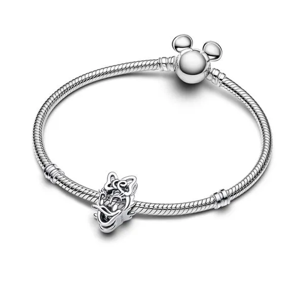 Pandora Charms Image 3 The Source Fine Jewelers Greece, NY