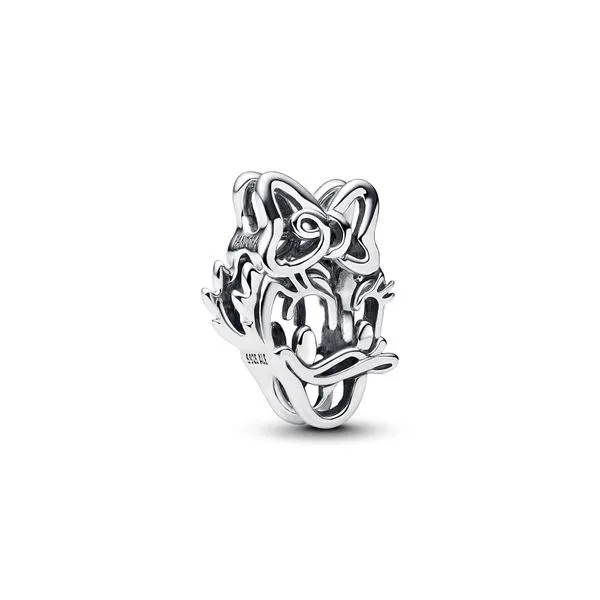 Pandora Charms The Source Fine Jewelers Greece, NY