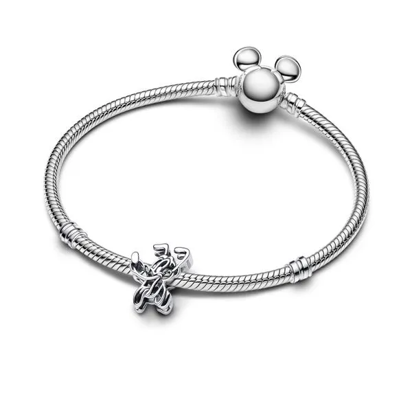 Pandora Charms Image 2 The Source Fine Jewelers Greece, NY