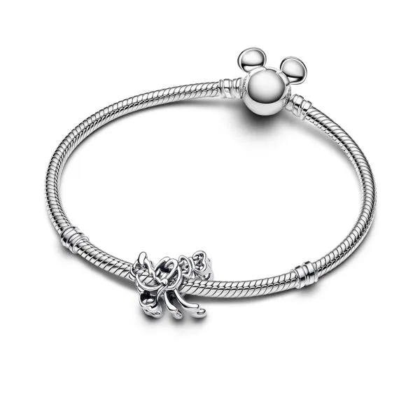 Pandora Charms Image 3 The Source Fine Jewelers Greece, NY