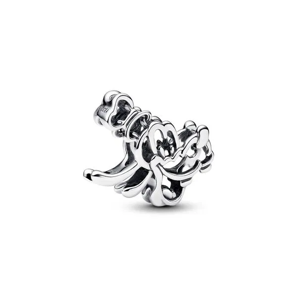 Pandora Charms The Source Fine Jewelers Greece, NY