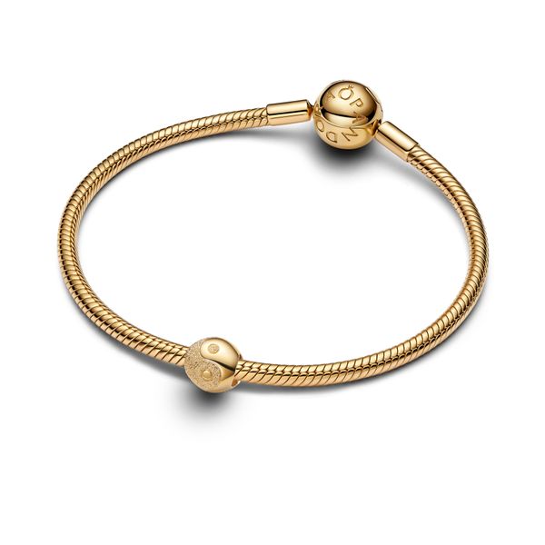 Pandora Charms Image 3 The Source Fine Jewelers Greece, NY