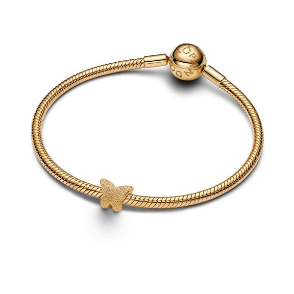 Pandora Charms Image 3 The Source Fine Jewelers Greece, NY
